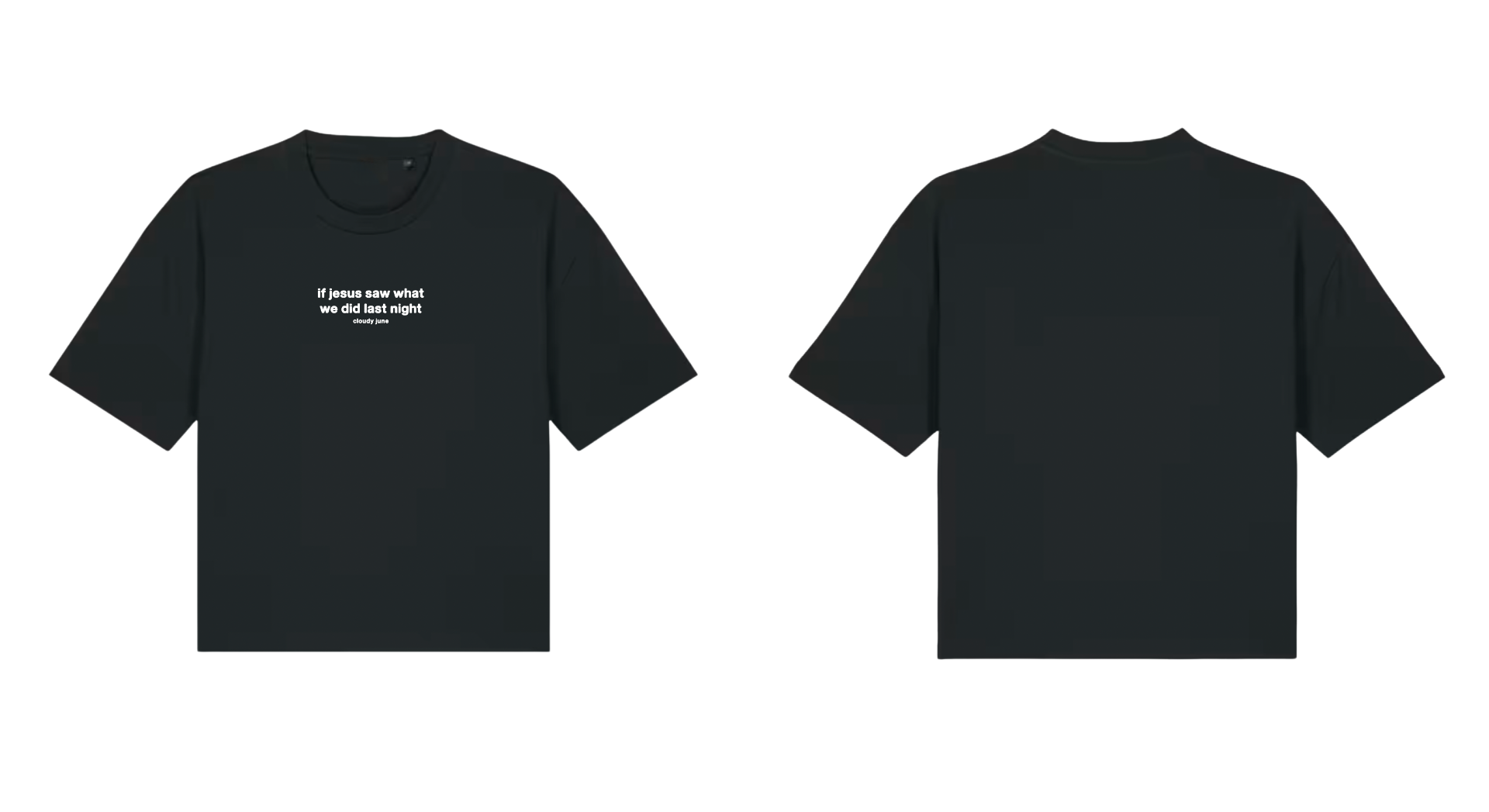  if jesus saw what we did last night, T-Shirt  